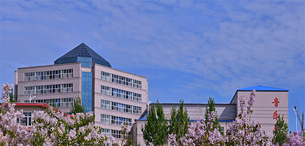 我的大學(xué)-大學(xué)志