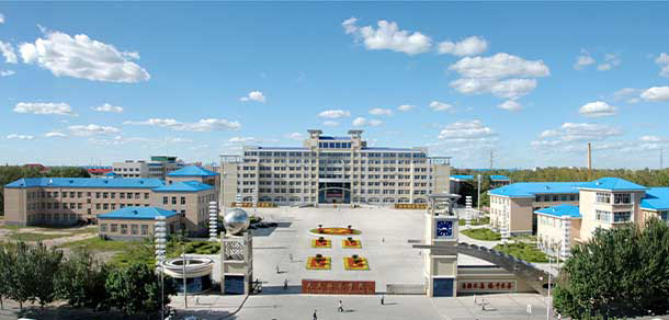 我的大學(xué)-大學(xué)志
