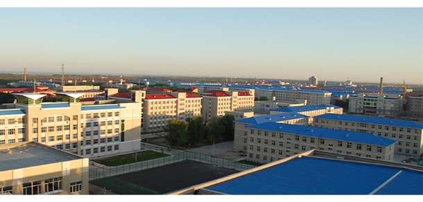 我的大學(xué)-大學(xué)志