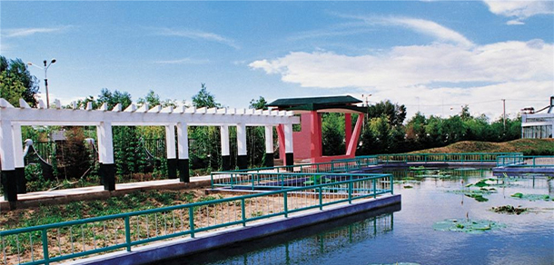 我的大學(xué)-大學(xué)志