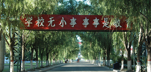 我的大學(xué)-大學(xué)志