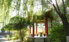 招生公告 · 招生簡(jiǎn)章 · 招生計(jì)劃