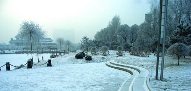 我的大學(xué)-大學(xué)志