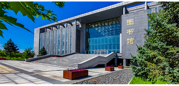 我的大學(xué)-大學(xué)志