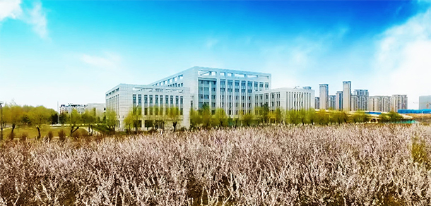 我的大學(xué)-大學(xué)志
