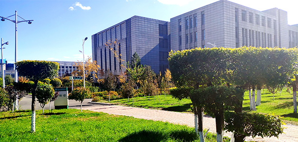 我的大學(xué)-大學(xué)志