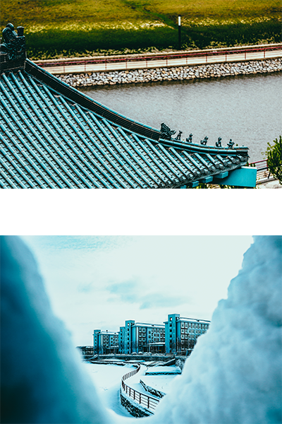 歲月流金 · 青春不散場(chǎng)