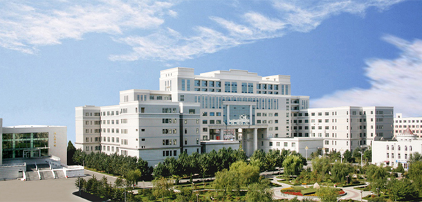 我的大學(xué)-大學(xué)志