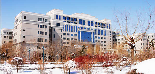 我的大學(xué)-大學(xué)志