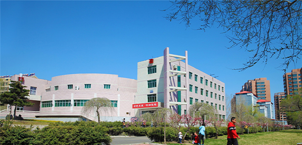 我的大學(xué)-大學(xué)志