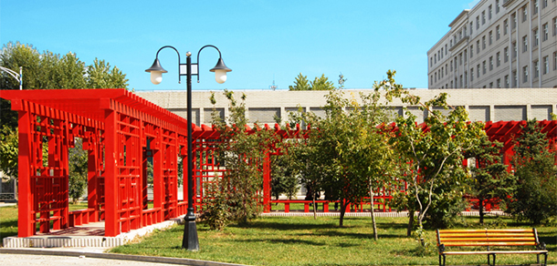 我的大學(xué)-大學(xué)志