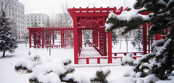 我的大學(xué)-大學(xué)志