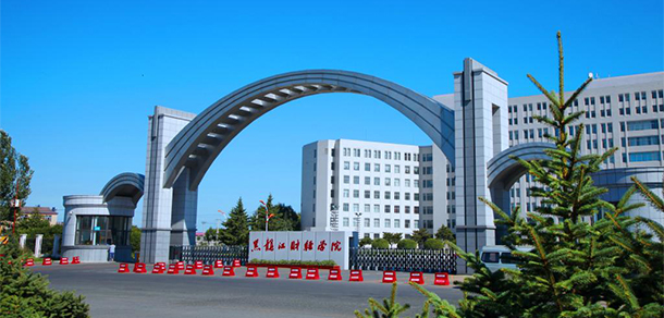 我的大學-大學志