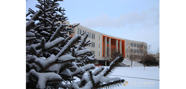 我的大學-大學志