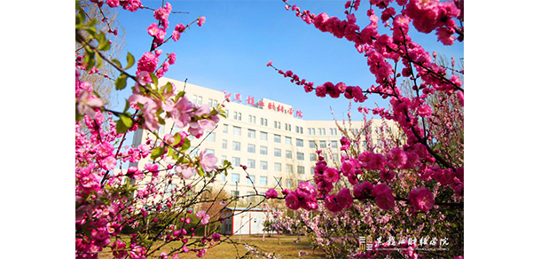 我的大學-大學志