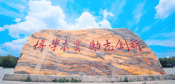 我的大學(xué)-大學(xué)志
