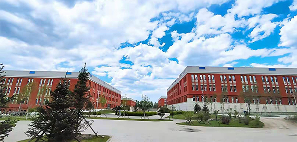 我的大學(xué)-大學(xué)志