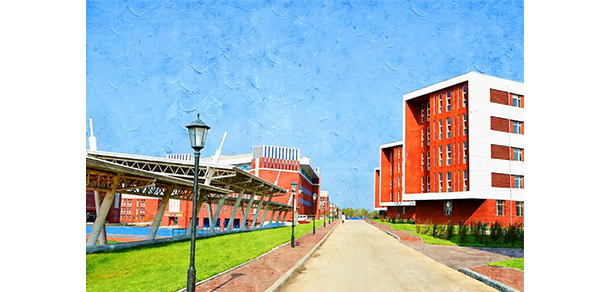 我的大學(xué)-大學(xué)志