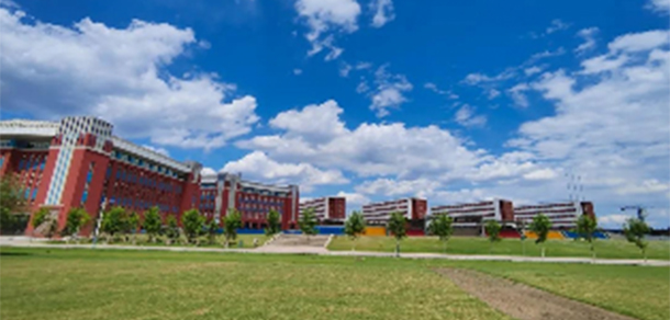我的大學(xué)-大學(xué)志