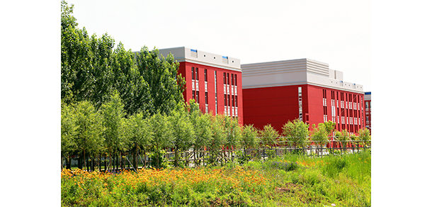 我的大學(xué)-大學(xué)志