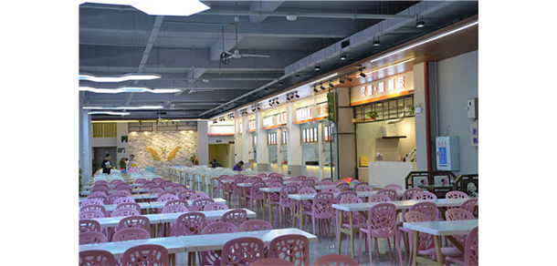 我的大學(xué)-大學(xué)志