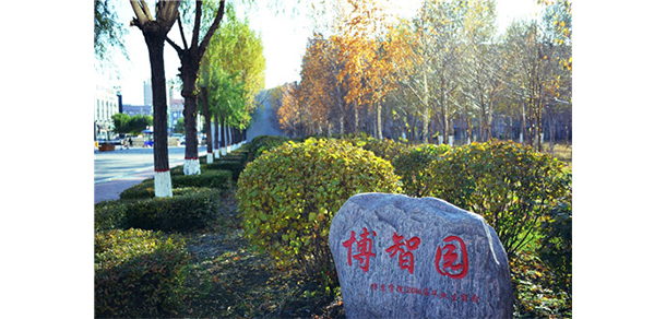 我的大學(xué)-大學(xué)志