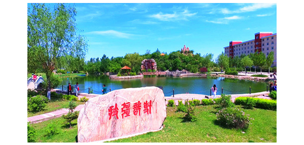 我的大學(xué)-大學(xué)志