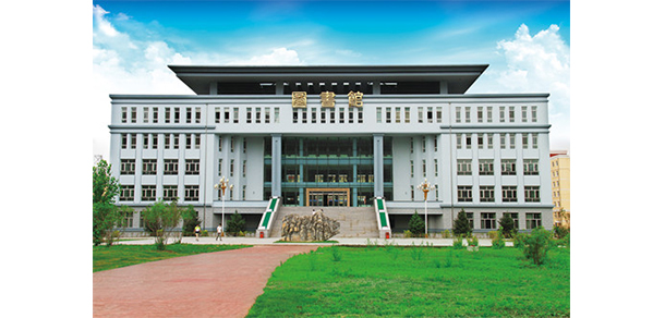 我的大學(xué)-大學(xué)志