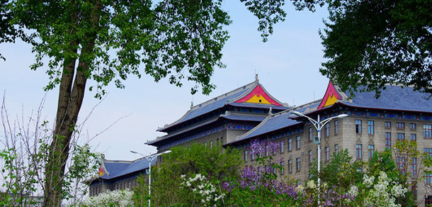 我的大學-大學志