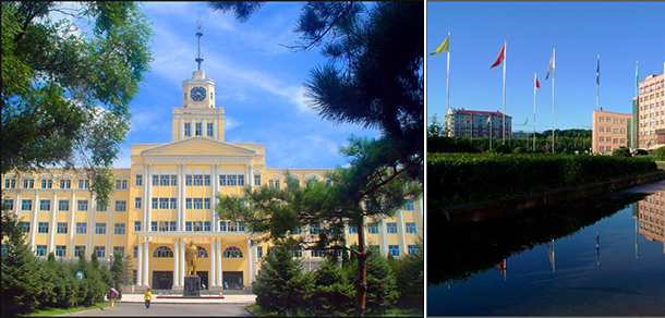 我的大學(xué)-大學(xué)志