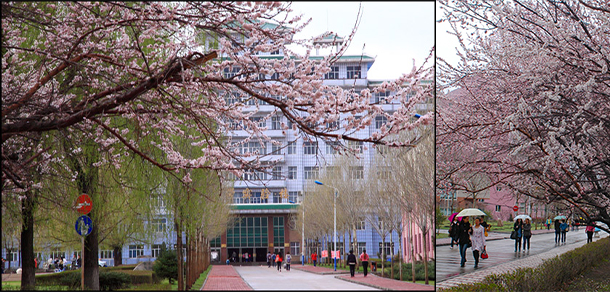 我的大學(xué)-大學(xué)志
