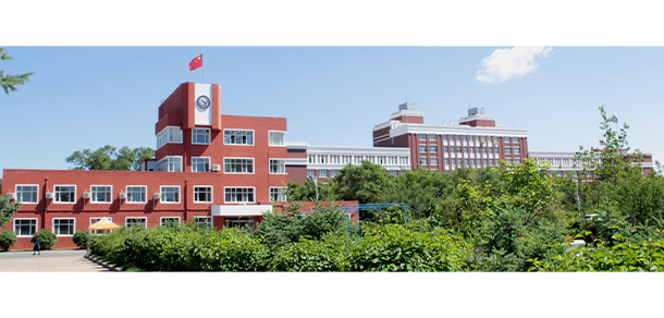 我的大學(xué)-大學(xué)志