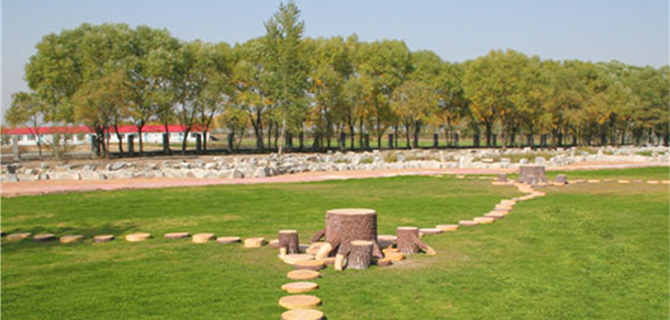 我的大學(xué)-大學(xué)志