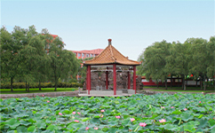招生公告 · 招生簡(jiǎn)章 · 招生計(jì)劃