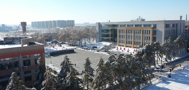 我的大學(xué)-大學(xué)志
