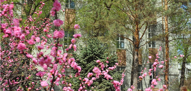 我的大學(xué)-大學(xué)志