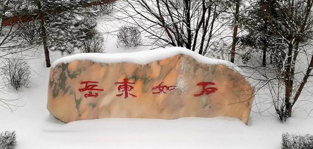 我的大學(xué)-大學(xué)志