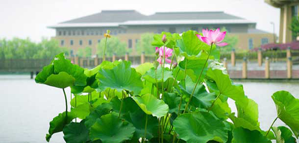 我的大學-大學志