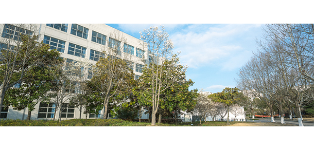 上海第二工業(yè)大學 - 最美大學