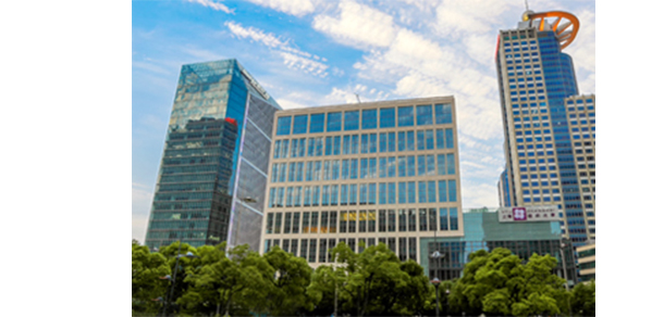 上海紐約大學