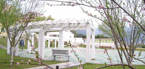 上海海事職業(yè)技術(shù)學院 - 最美院校