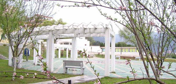 上海海事職業(yè)技術(shù)學院 - 最美大學